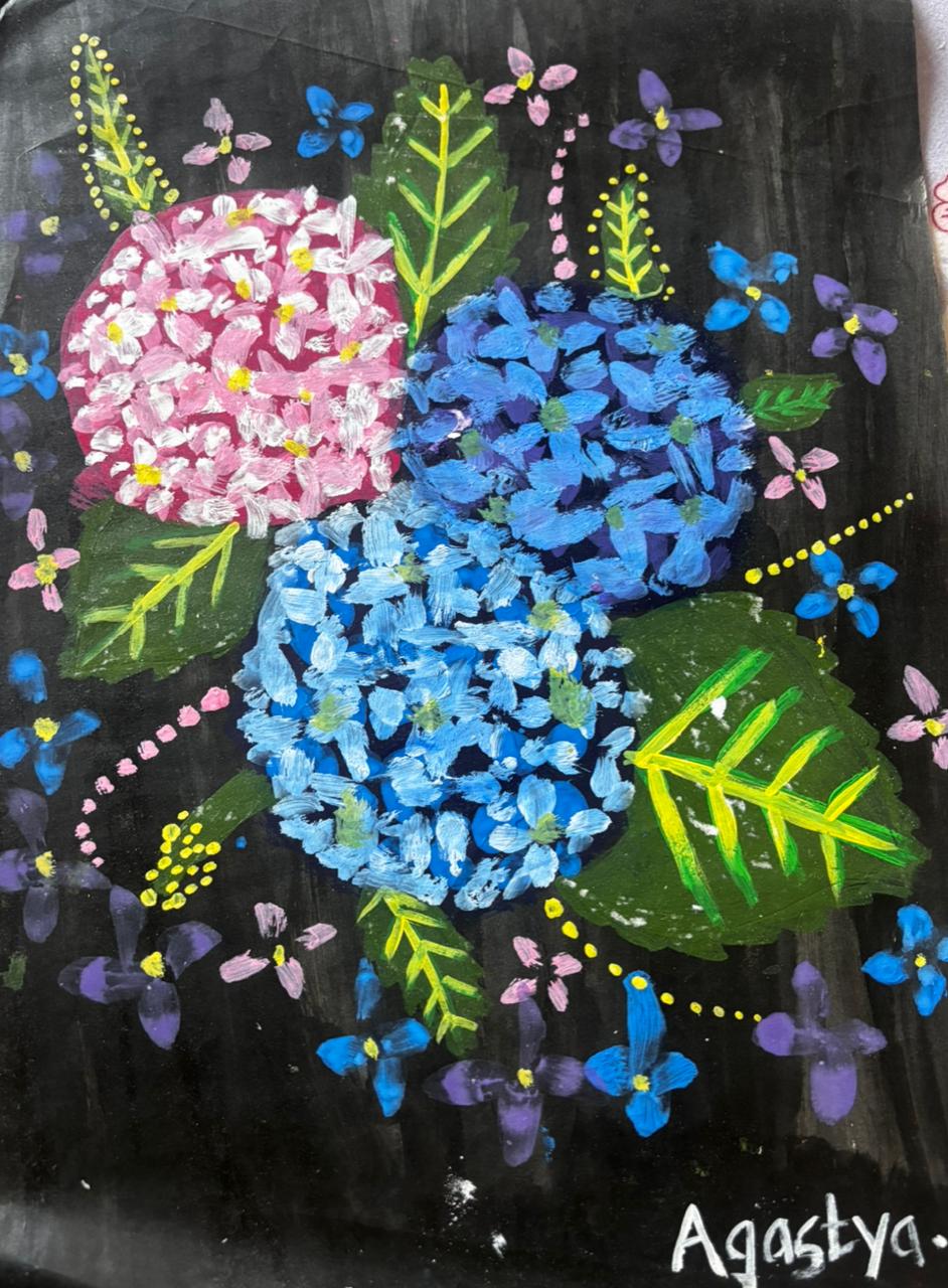 Portfolio Image
